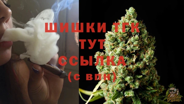 прущие крисы Аркадак