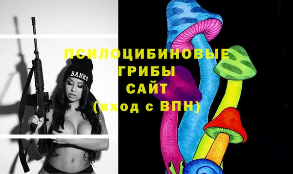 метадон Арсеньев