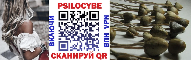 omg как зайти  Пучеж  Галлюциногенные грибы прущие грибы 
